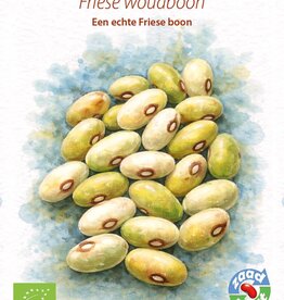 Droogboon Friese Woudboon (stamboon)