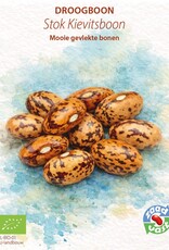 Droogboon Stok - Kievitsboon