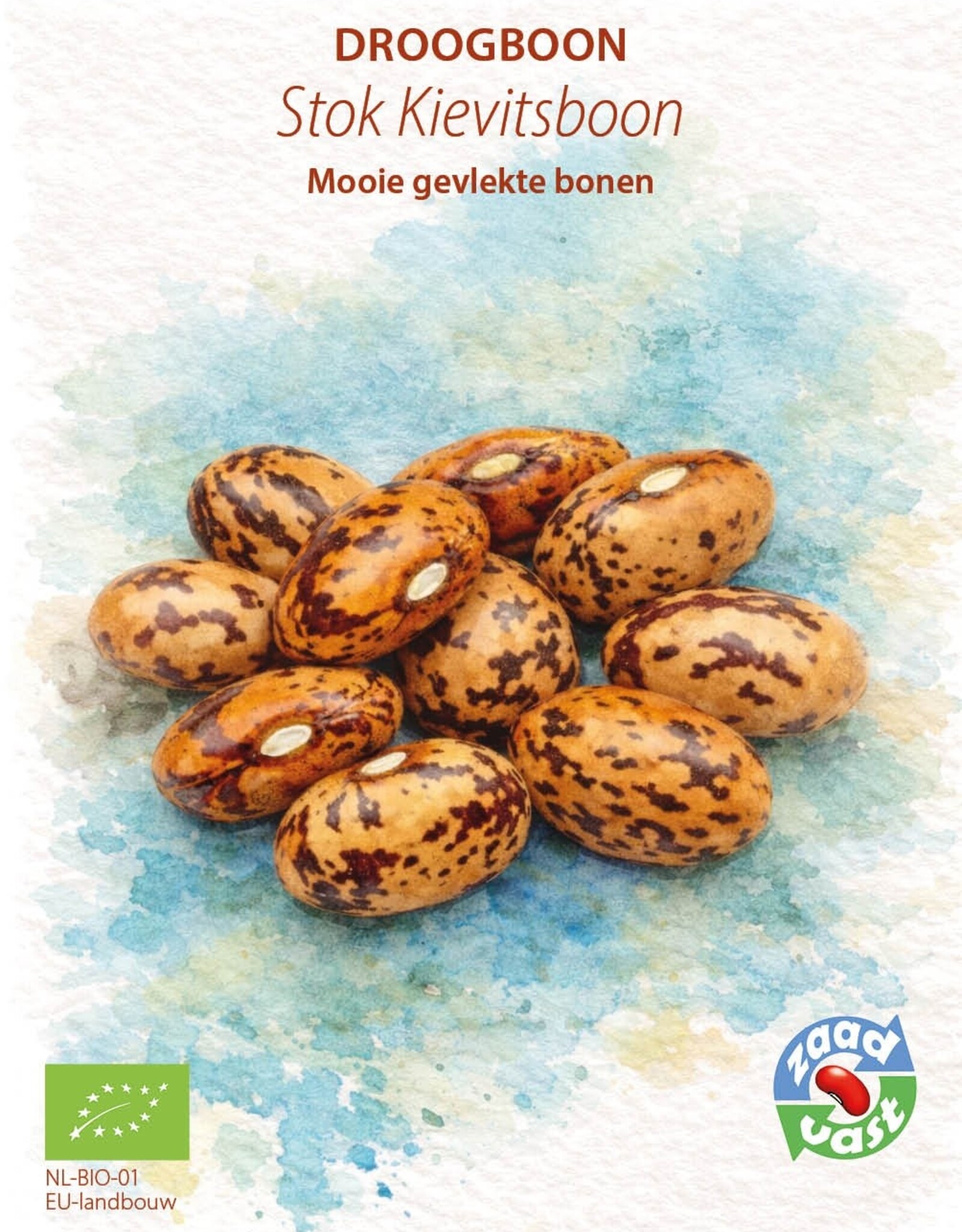 Droogboon Stok - Kievitsboon