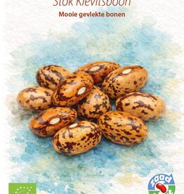 Droogboon Stok - Kievitsboon (stokboon)
