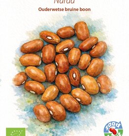 Boon Narda bruine boon (stamboon)