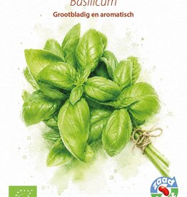 Kruiden Basilicum