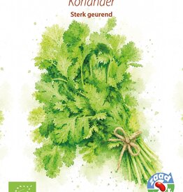Kruiden Koriander