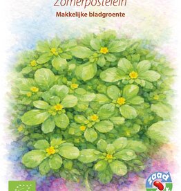 Diverse bladgroenten Zomerpostelein