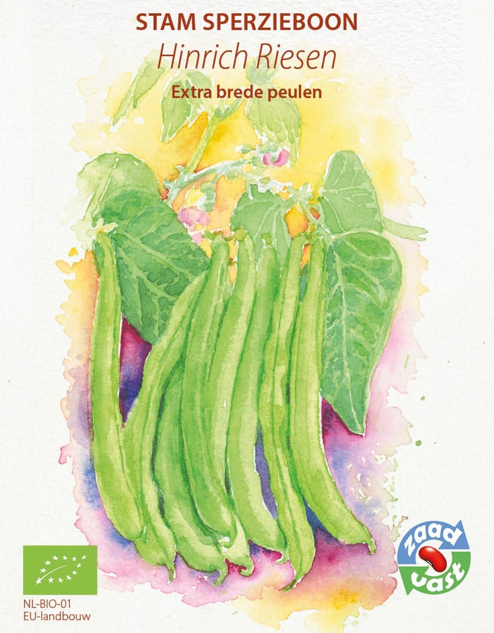 Boon Hinrichs Riesen (stamboon)