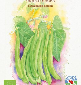Boon Hinrichs Riesen (stamslaboon & droogboon)