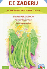 Boon Hinrichs Riesen (stamboon)