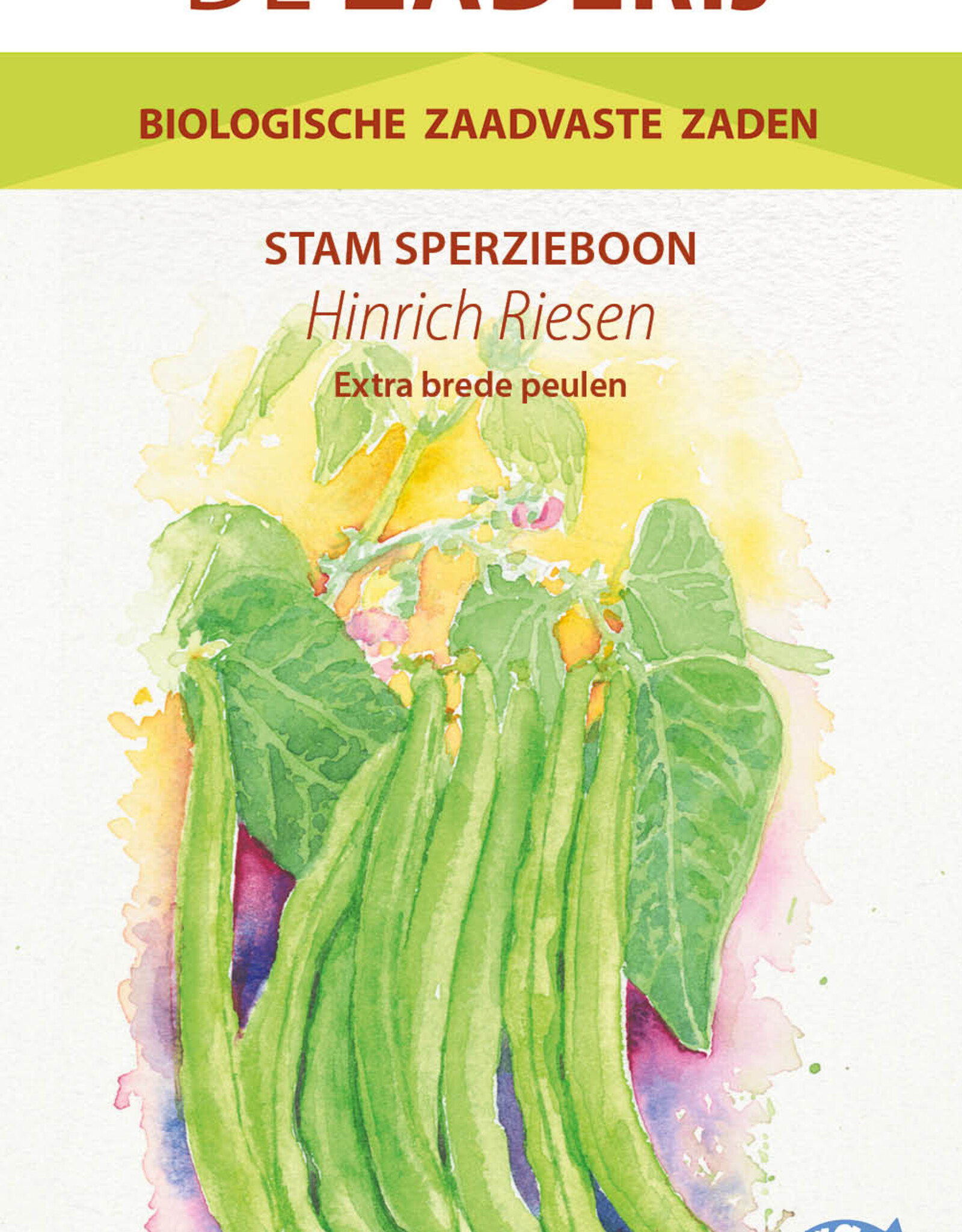 Boon Hinrichs Riesen (stamboon)