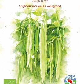 Boon Mantra (Stoksnijboon)