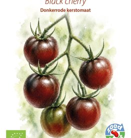 Tomaat Black Cherry