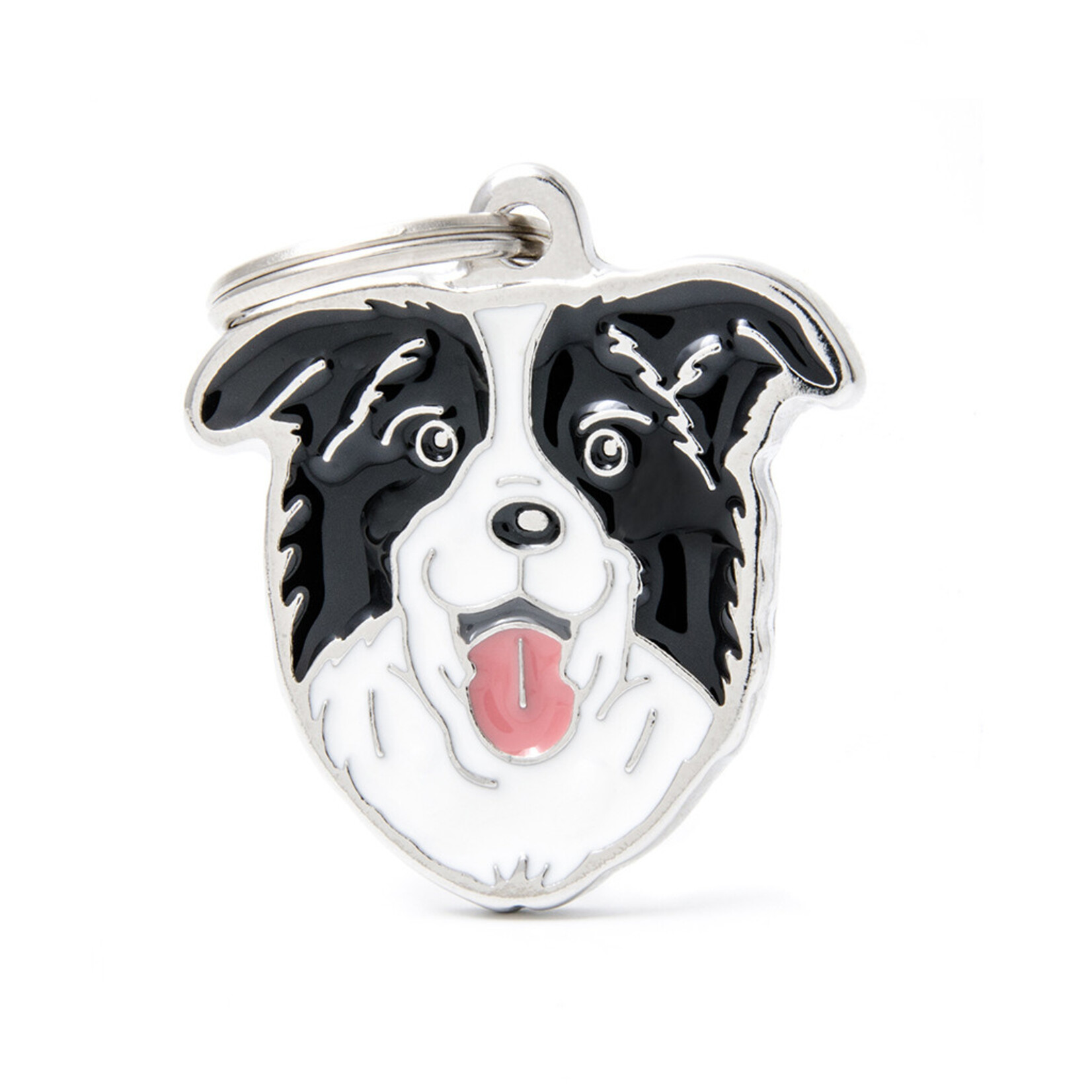 Myfamily Border Collie