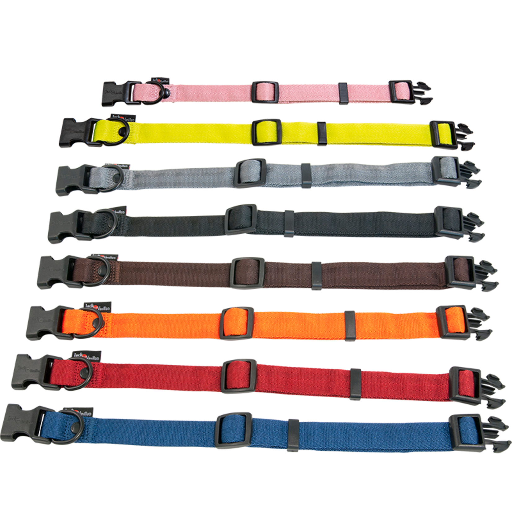 Jack and Vanilla Nylon Hondenhalsband