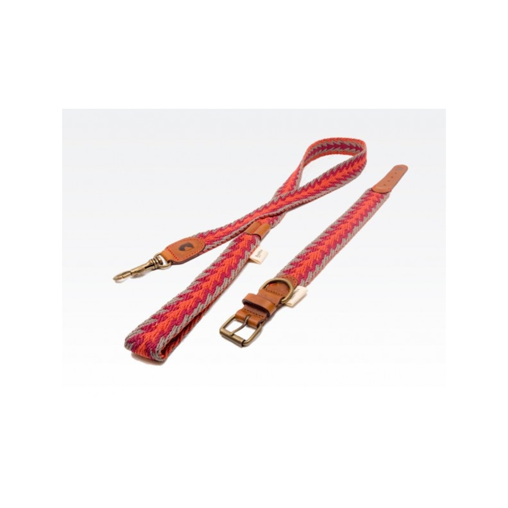 Buddys Peruvian Arrow Orange