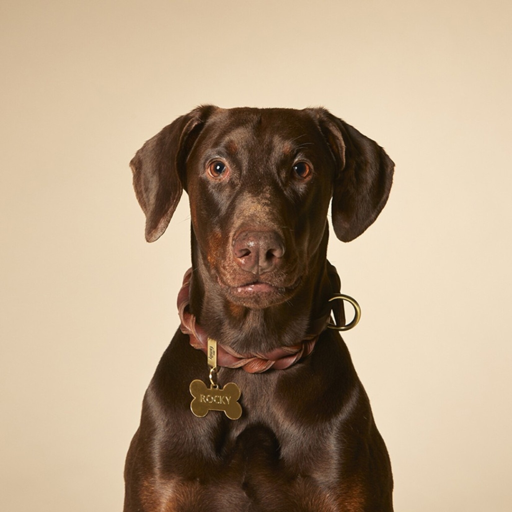 Myfamily Big Bone in Golden Brass