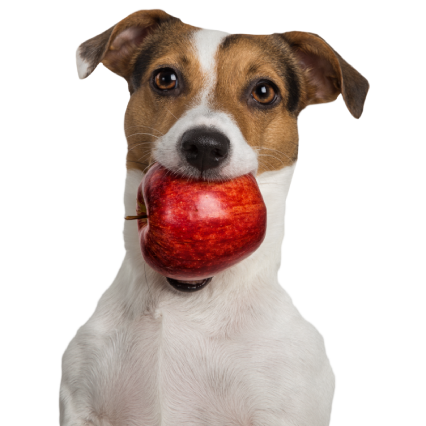 Tippy Taps Tippy Taps Fruit Snack Rode Appel 100 gr