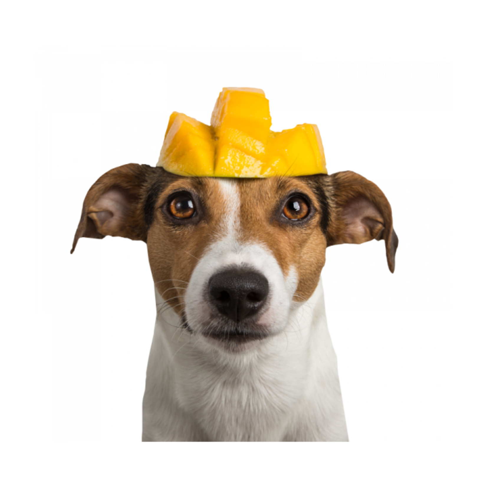 Tippy Taps Tippy Taps Fruit Snack Mango 80 gr