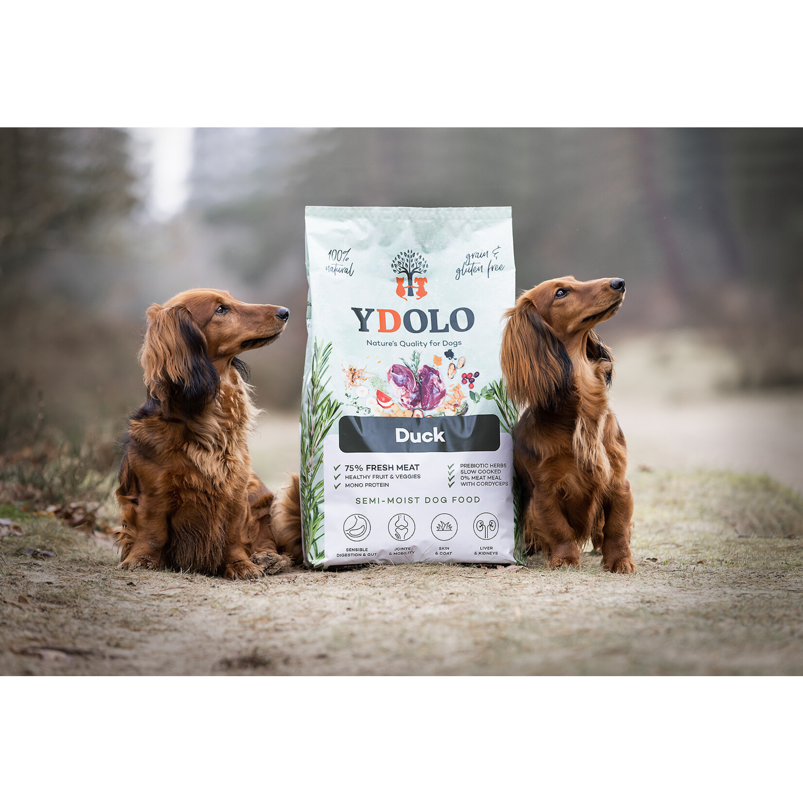 Ydolo Healthy & Fresh: Eend