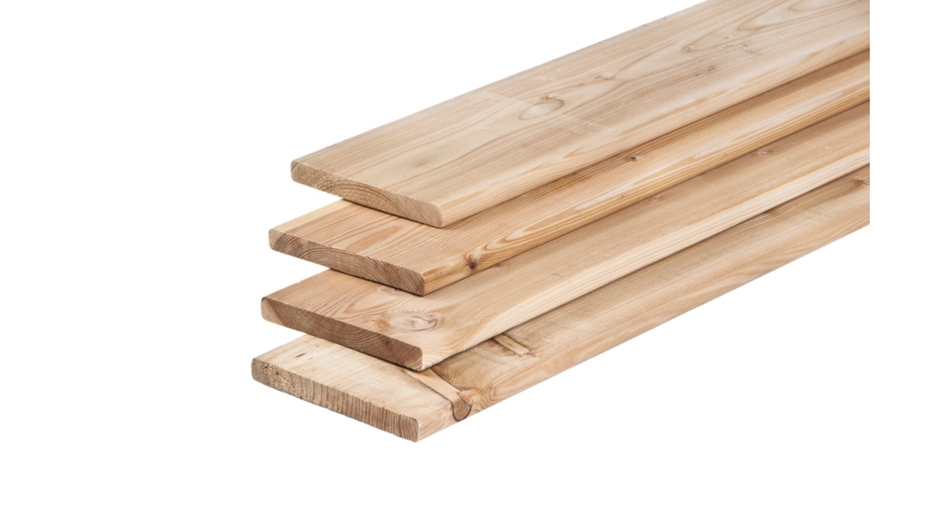 Douglas plank 1,6x14 cm