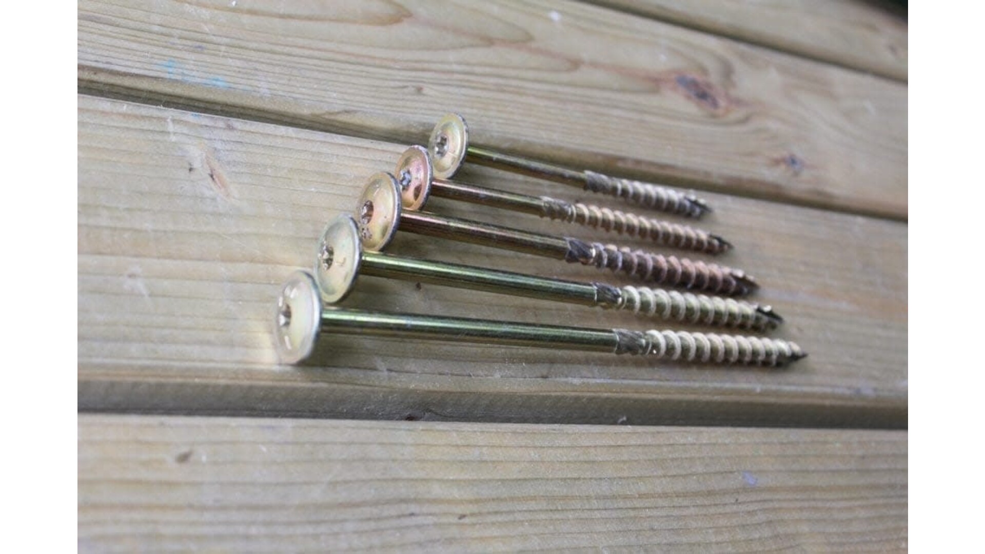 Schotelschroef 8mm per doos (50 st)