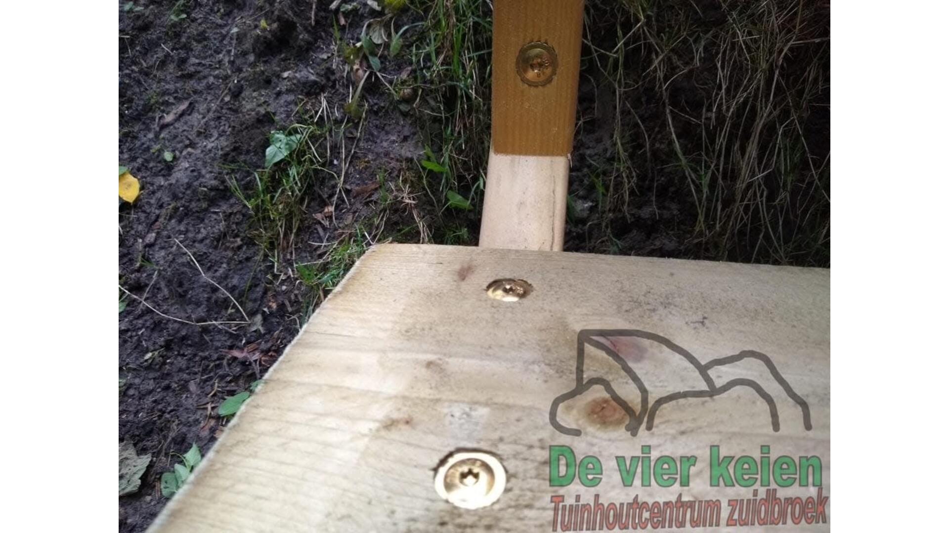 Schotelschroef 10 mm per stuk