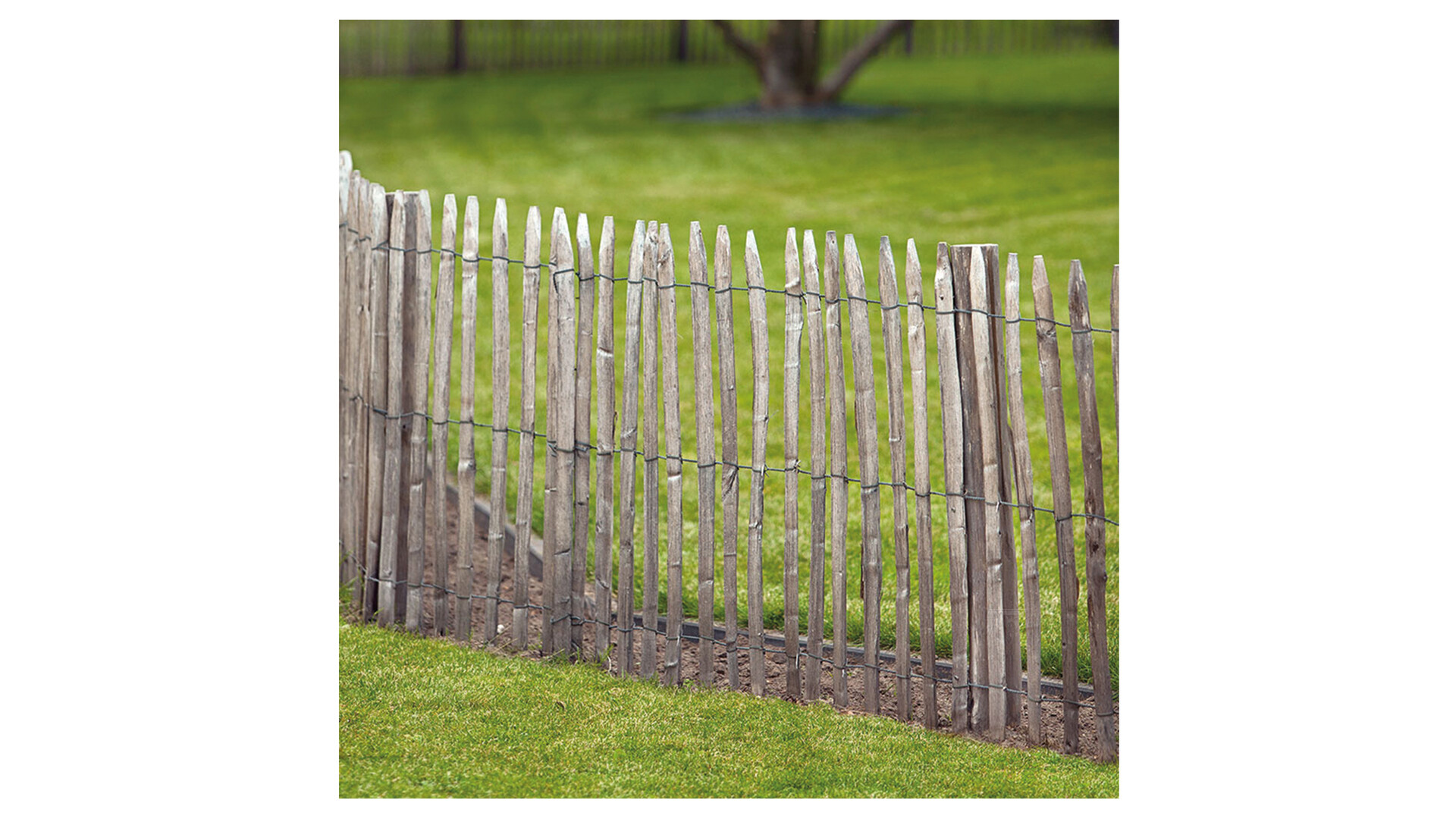 kastanjehek ca 5cm tussenruimte 460 cm lang -