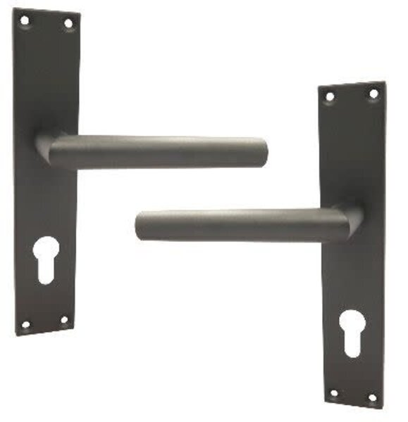 Zwarte schilden tbv RVS cilinderslot