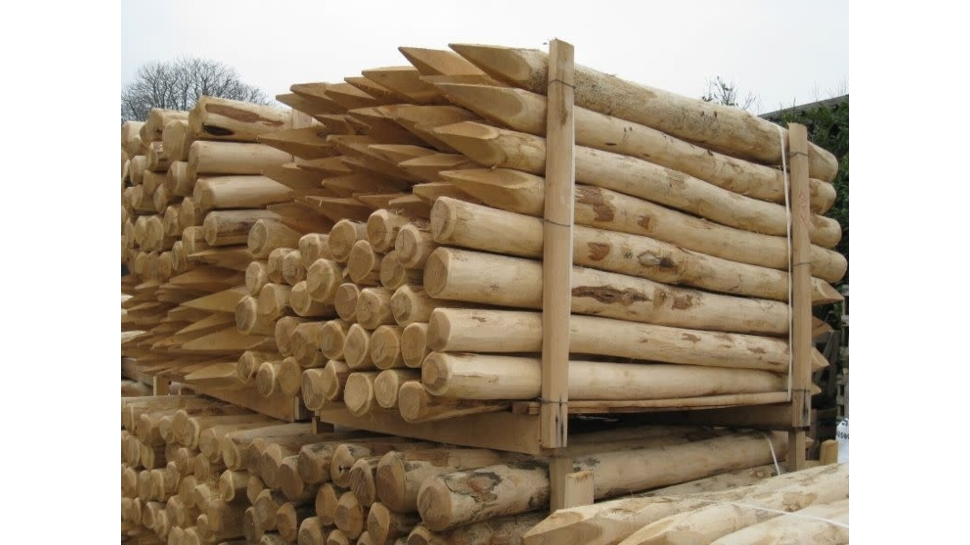 Paal Robinia gepunt 8/10 cm