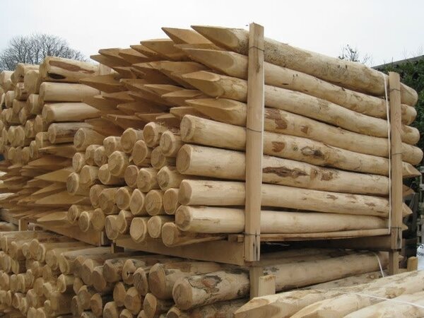 Paal Robinia gepunt 8/10 cm