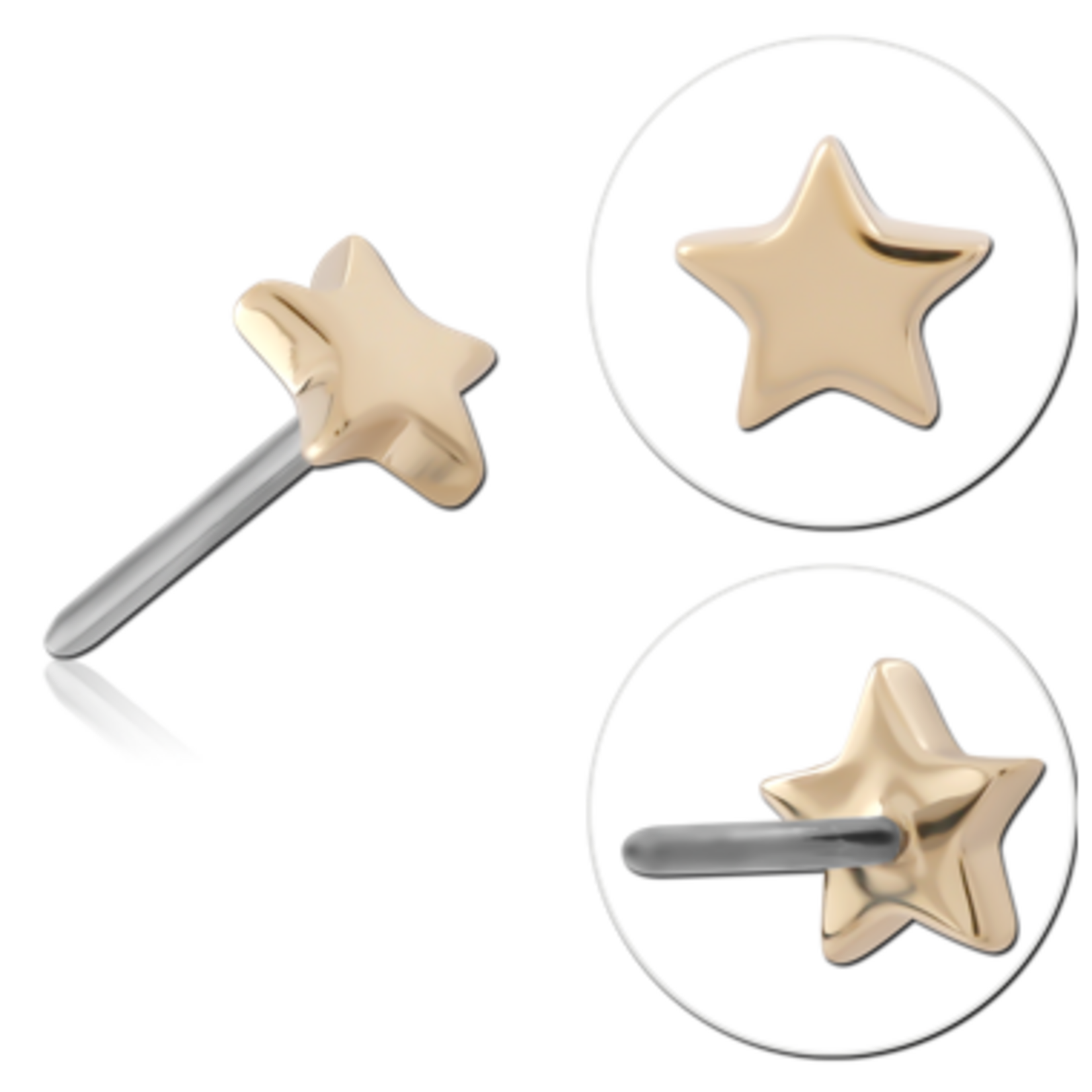 Inkorporated Ster 2,5mm 14k solid goud