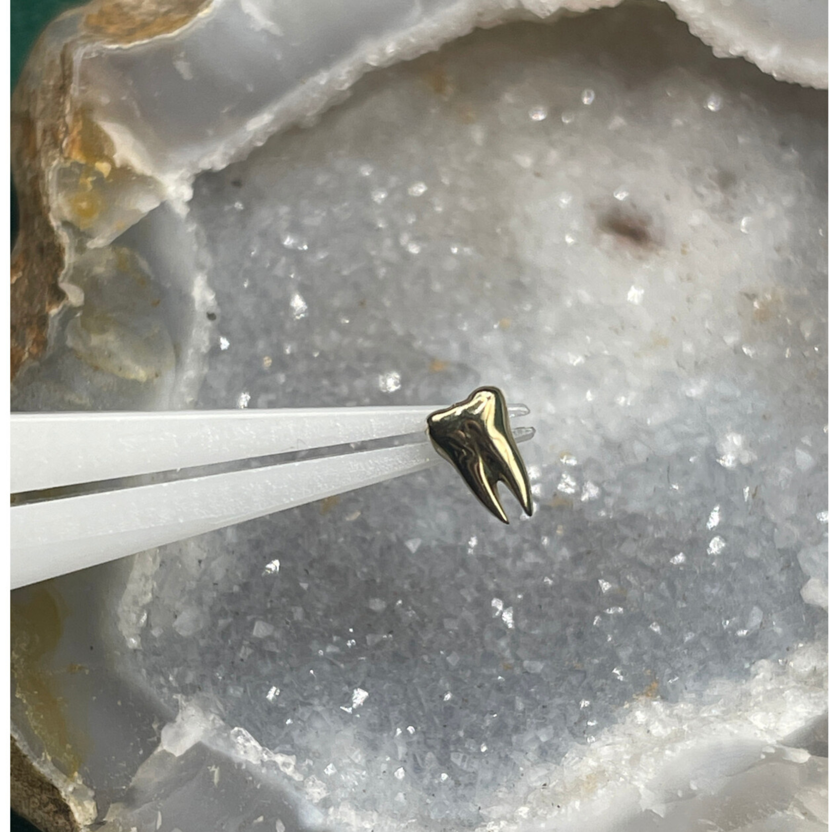 Tawapa Wisdom 14k massief goud