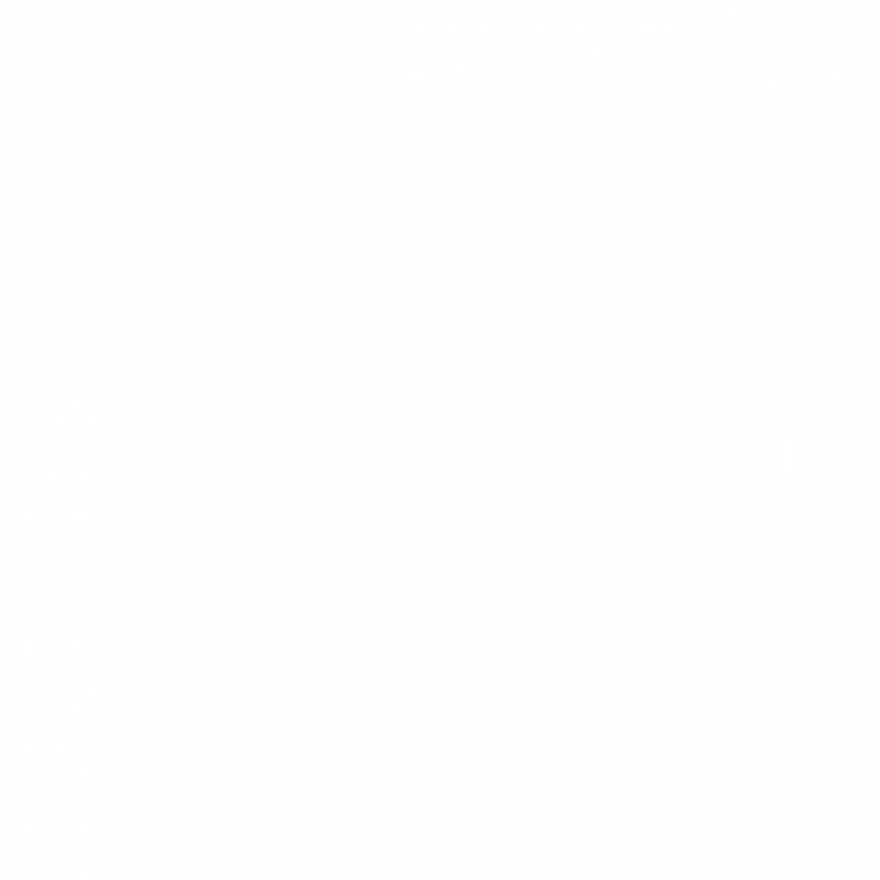 Flotte