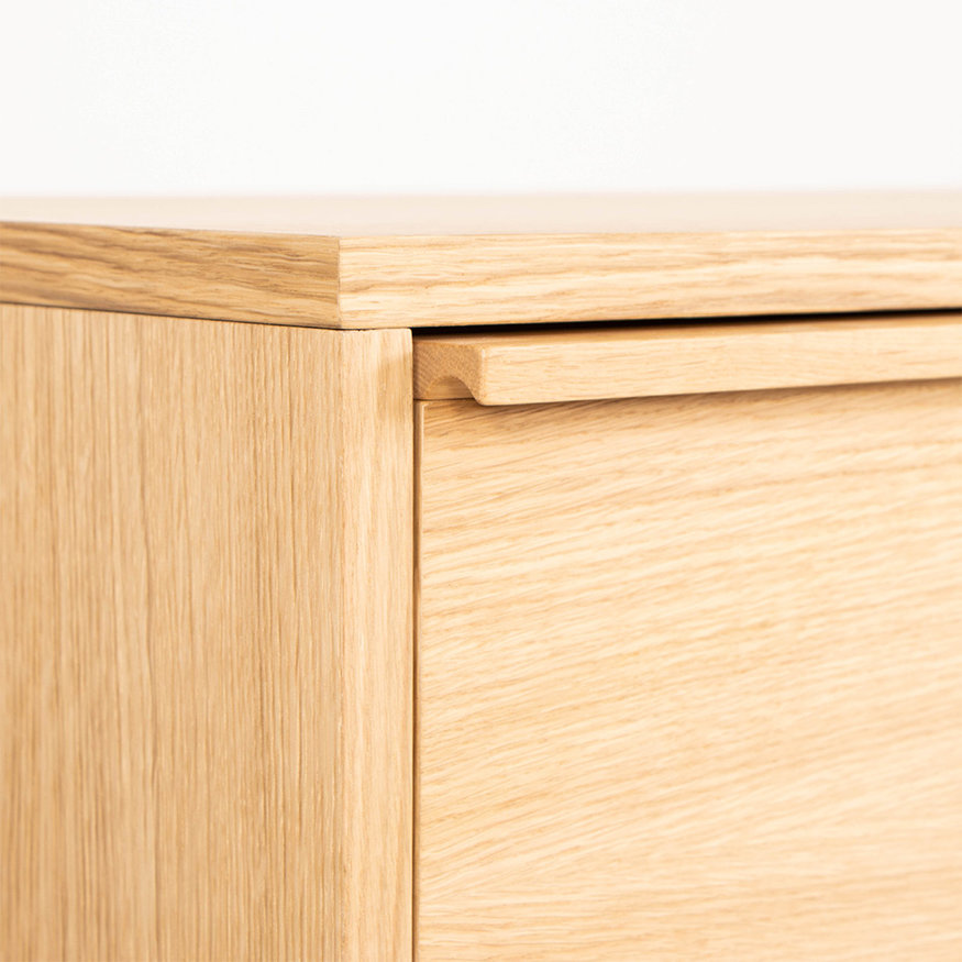 Dykmeyer Theo Tempelman AP TV Cabinet