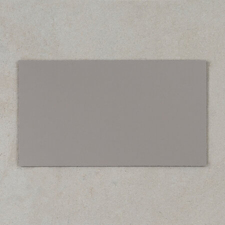 Color sample Fenix 0718 | Grigio Londra
