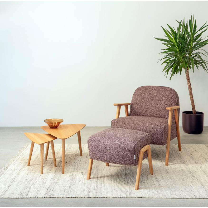 Scandinavische Fauteuil Ebbe