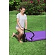 Bestway Luchtpomp airhammer - 2800cc Bestway Luchtpomp airhammer - 2800cc