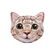 Intex Luchtbed kat - 137cm x 130cm x 23cm Intex Luchtbed kat - 137cm x 130cm x 23cm