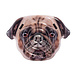 Intex Luchtbed hond - 173cm x 130cm x 23cm Intex Luchtbed hond - 173cm x 130cm x 23cm