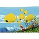 Bestway Family pool seaworld - 262cm x 157cm x 46cm Bestway Family pool seaworld - 262cm x 157cm x 46cm