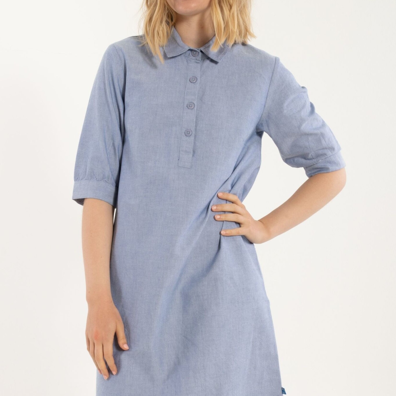 DANEFAE DANEFAE DANECARNATION CHAMBREY DRESS LIGHT INDIGO