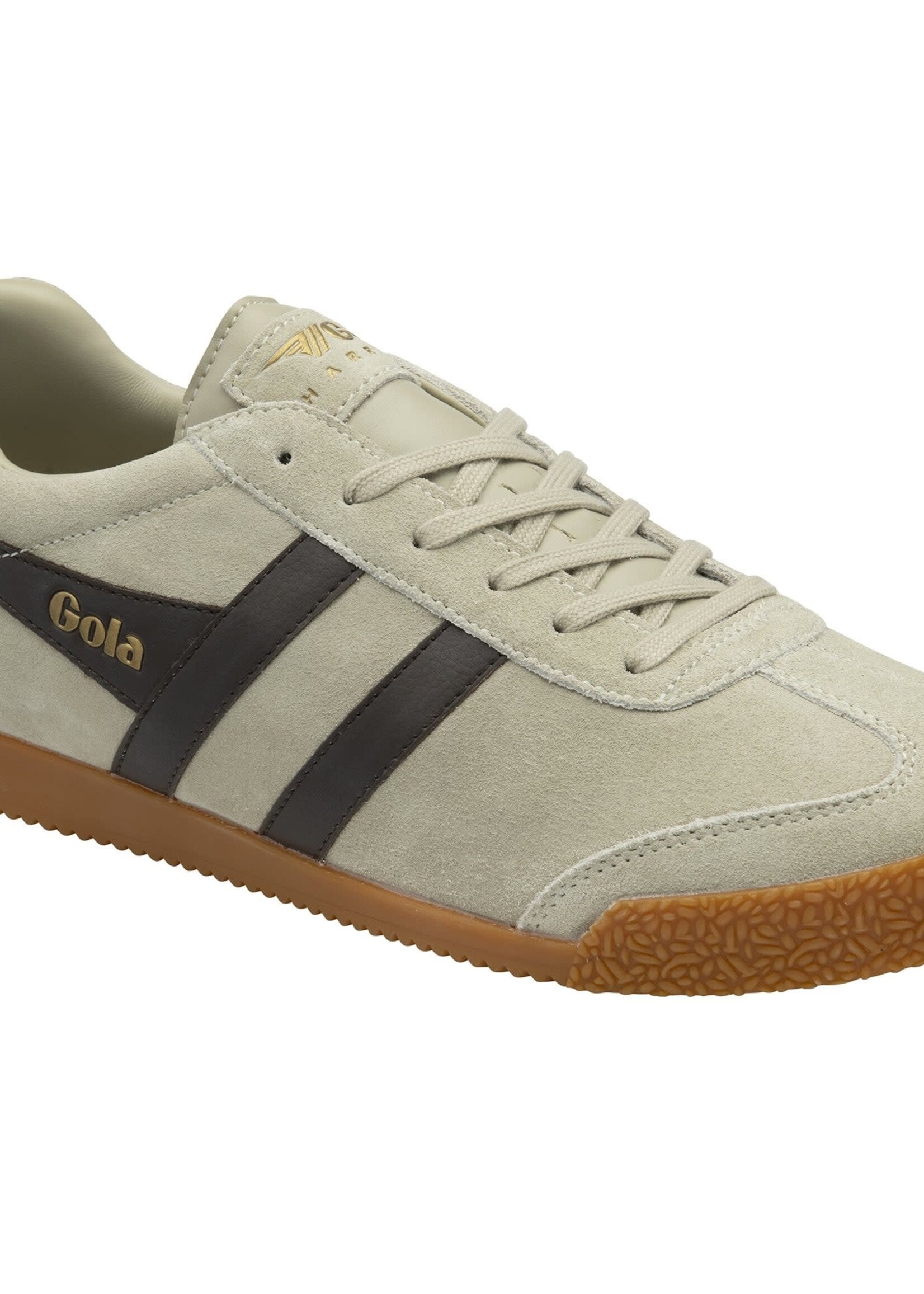 GOLA GOLA HARRIER SUEDE WEAT DARK BROWN