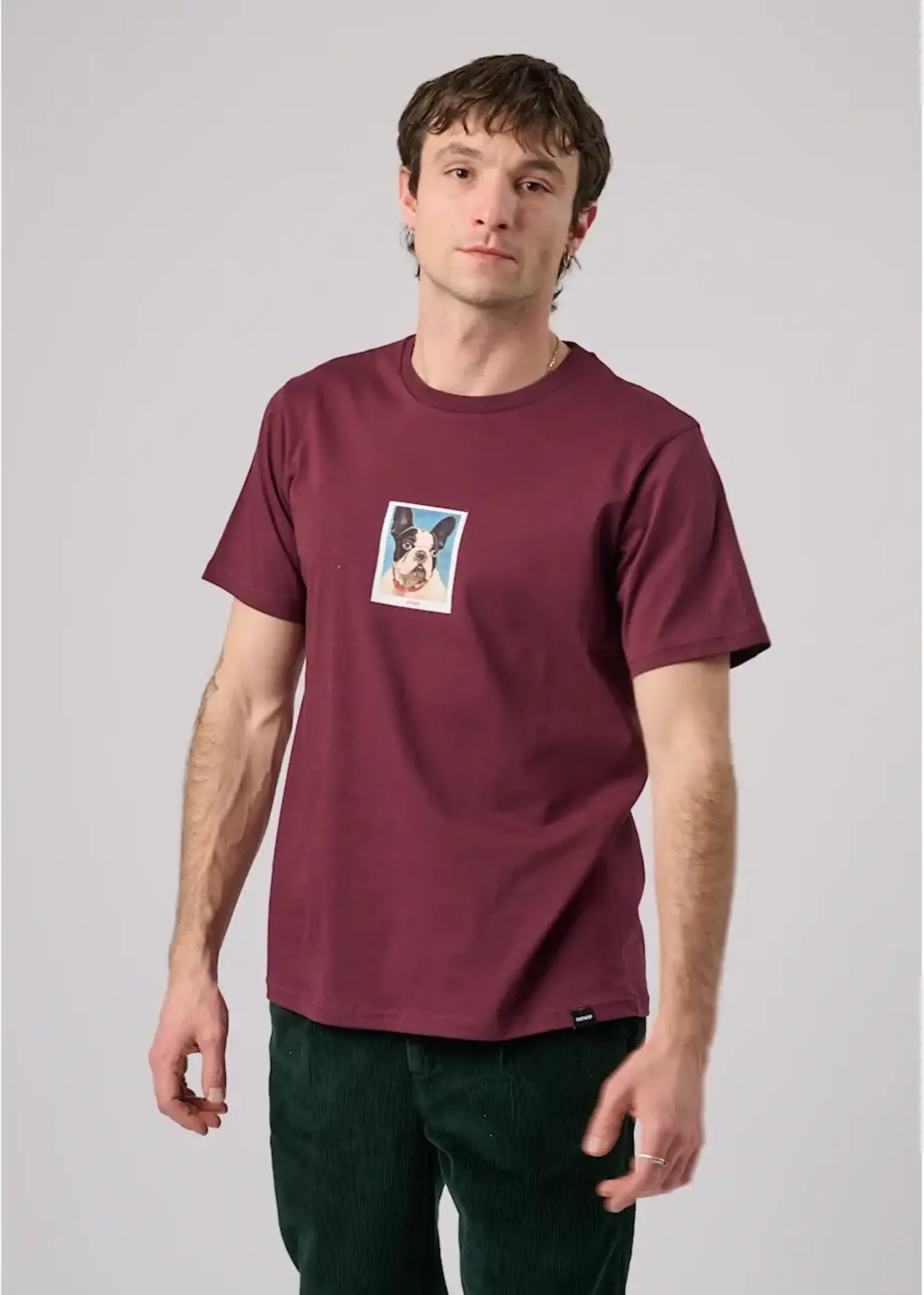 ANTWRP ANTWRP FRENCH BULLY T SHIRT REG FIT SHADY RED