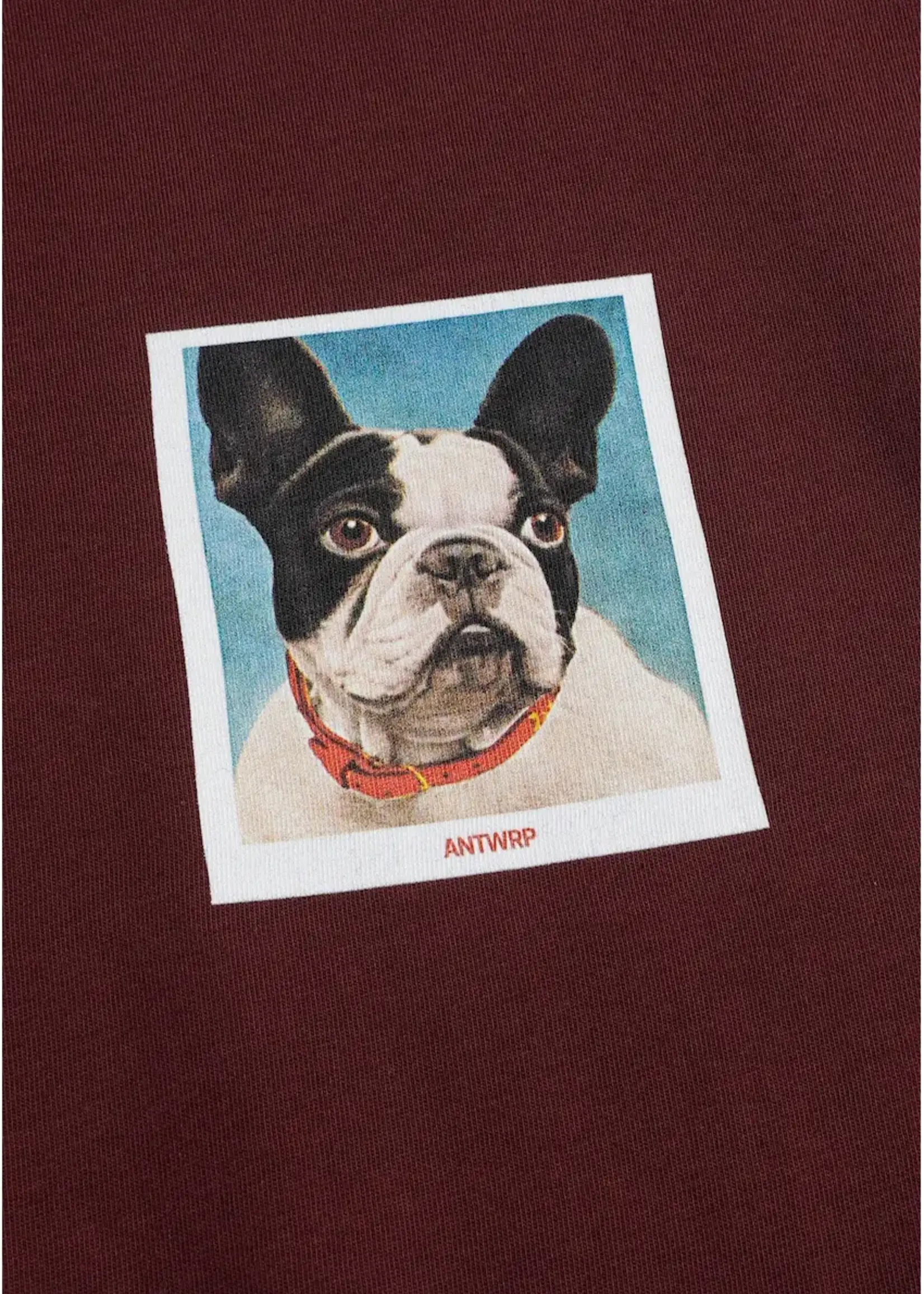 ANTWRP ANTWRP FRENCH BULLY T SHIRT REG FIT SHADY RED