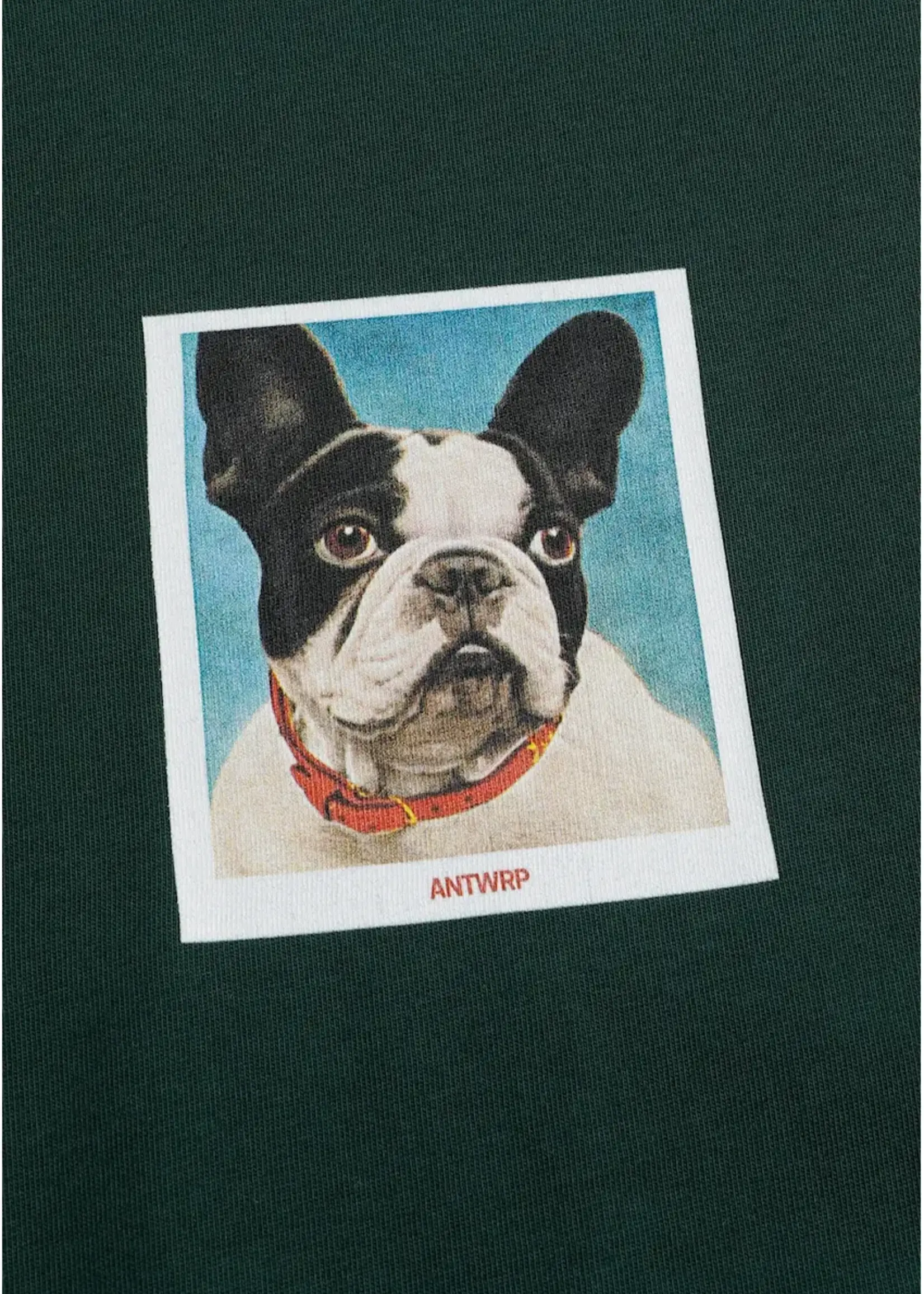 ANTWRP ANTWRP FRENCH BULLY T SHIRT REG FIT MIDNIGHT GREEN