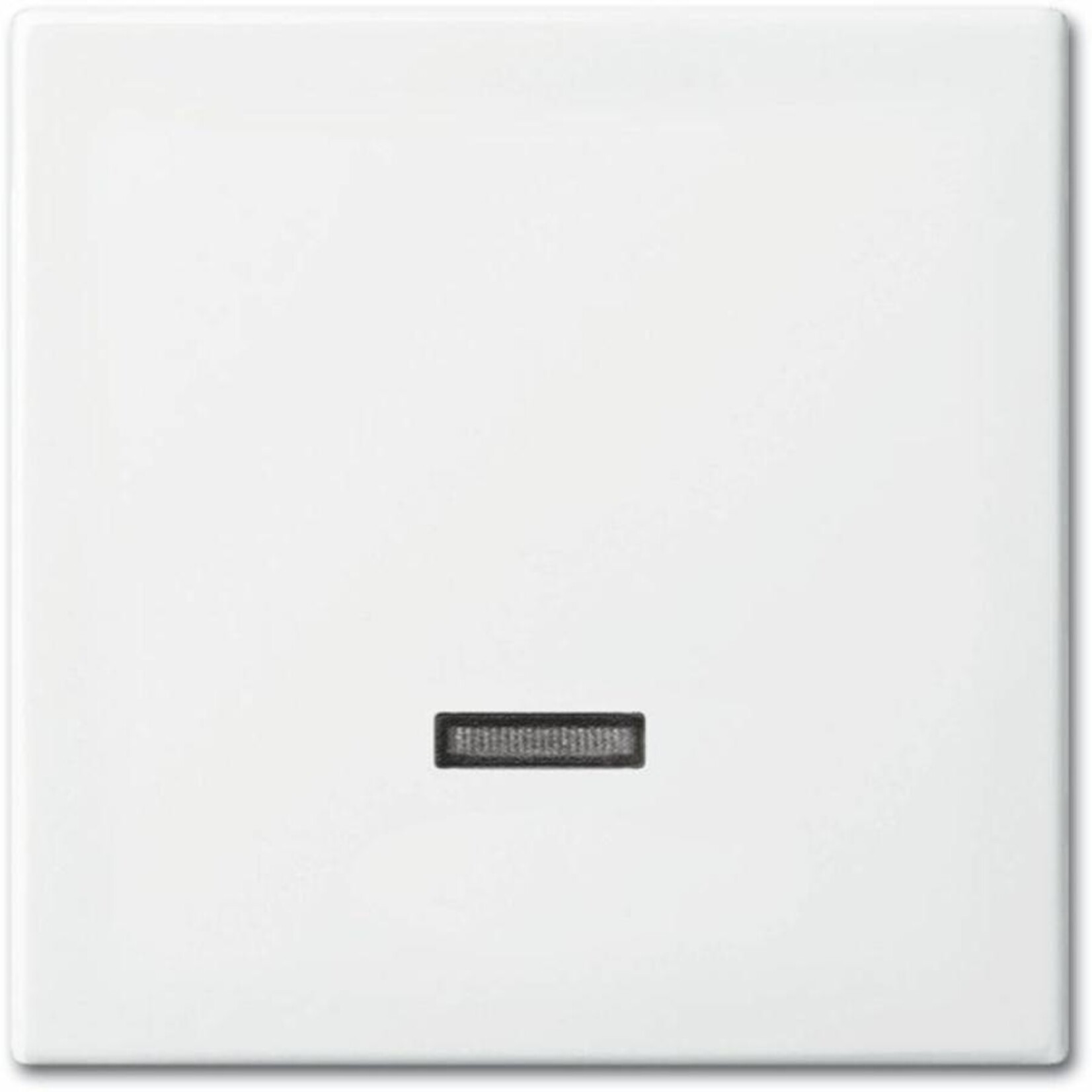 Busch-Jaeger Dimmertoets 6543-914-102