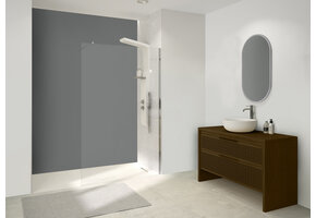 Alicante 6mm Solo douchewand 160 cm - chroom profiel