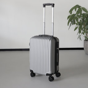 Miljard omzeilen beven Handbagage koffer 55cm zilver 4 wielen trolley met pin -  Laagsteprijsgarantie.com - AQ-Living.com