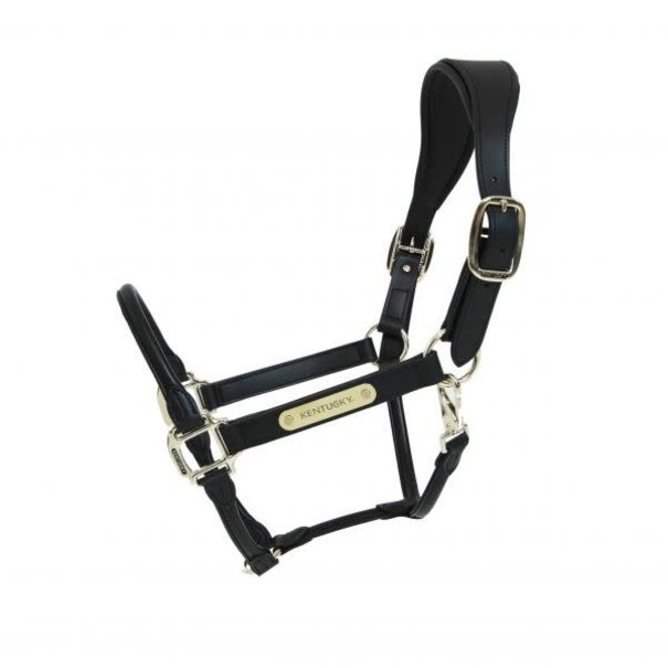 Kentucky Anatomic Leather Halter Black