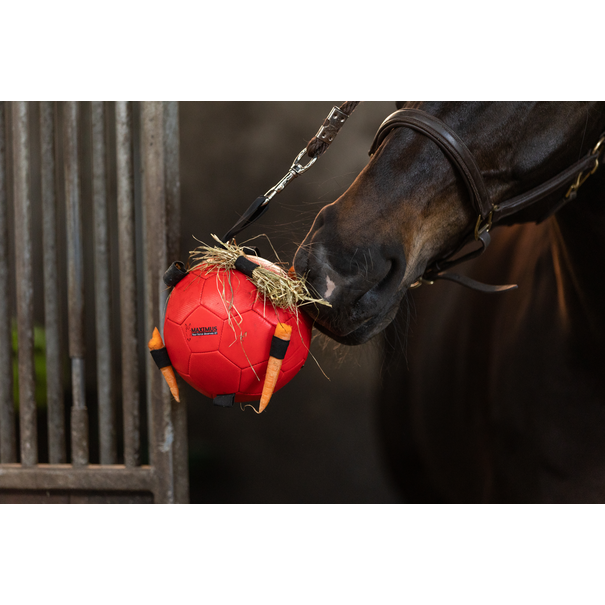 Holland Animal Care Maximus Fun Play Ball