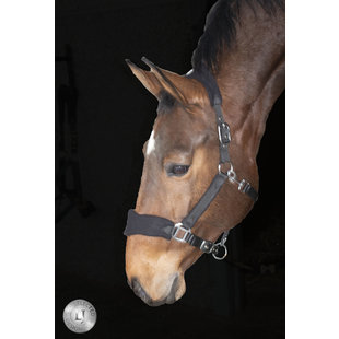 Halster Nylon/Fleece Black