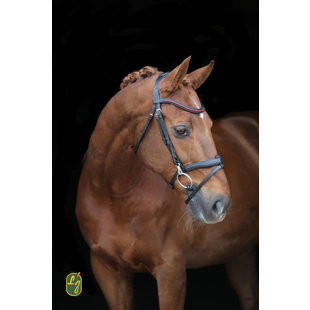 Hoofdstel Frenchy Gecombineerde Neusriem Brown